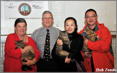 Chinese Li Hua Mau cats